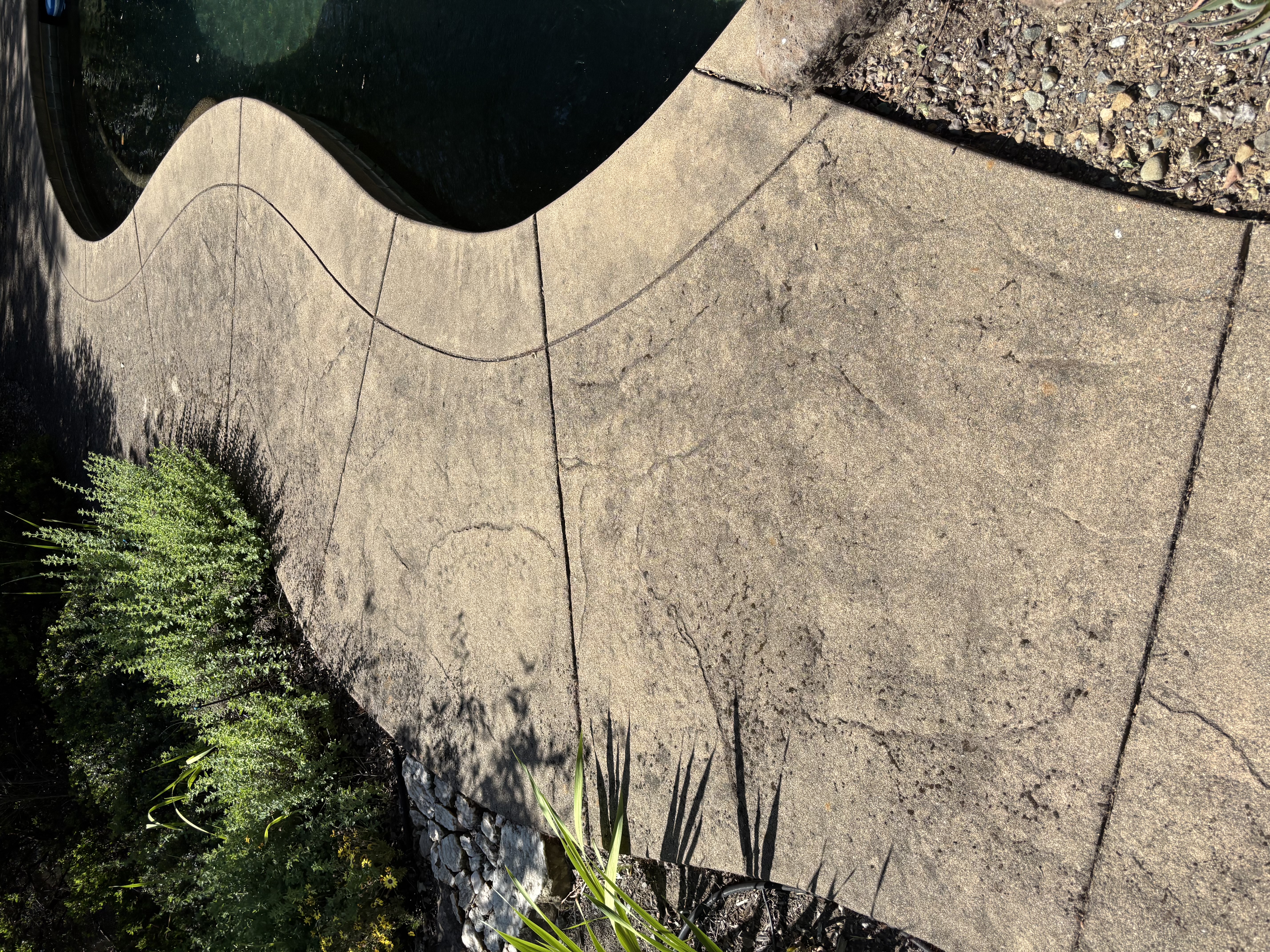 Backyard pool area after pressure washing
