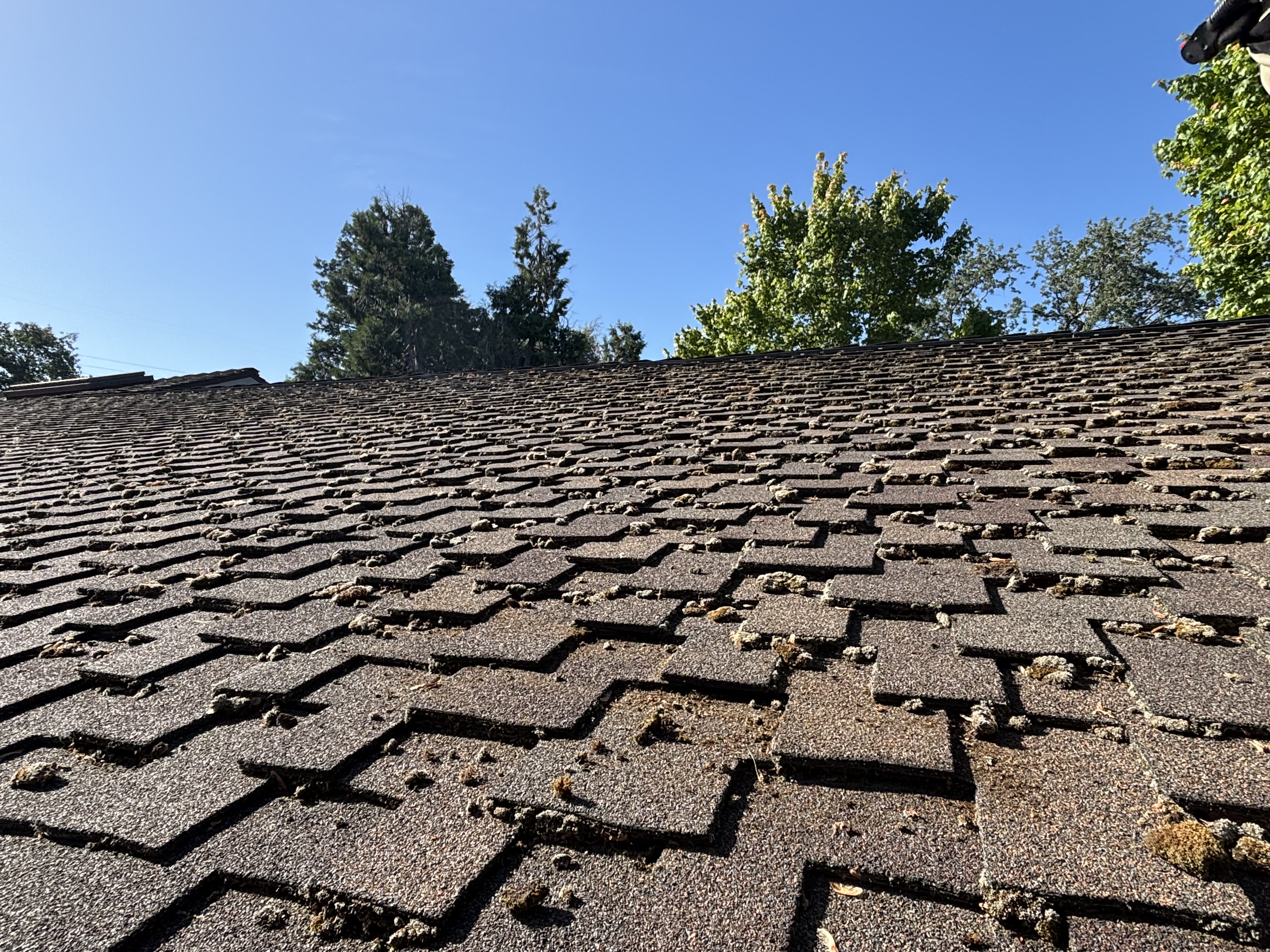 After — Gutters cleaned and flow-tested by Wash Works in Sacramento