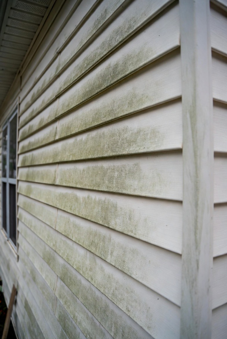 After — House siding before and after professional soft-wash cleaning in Sacramento