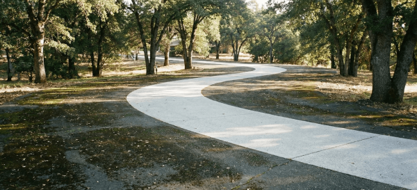 Clean curved concrete driveway in Folsom after surface cleaning, surrounded by trees
